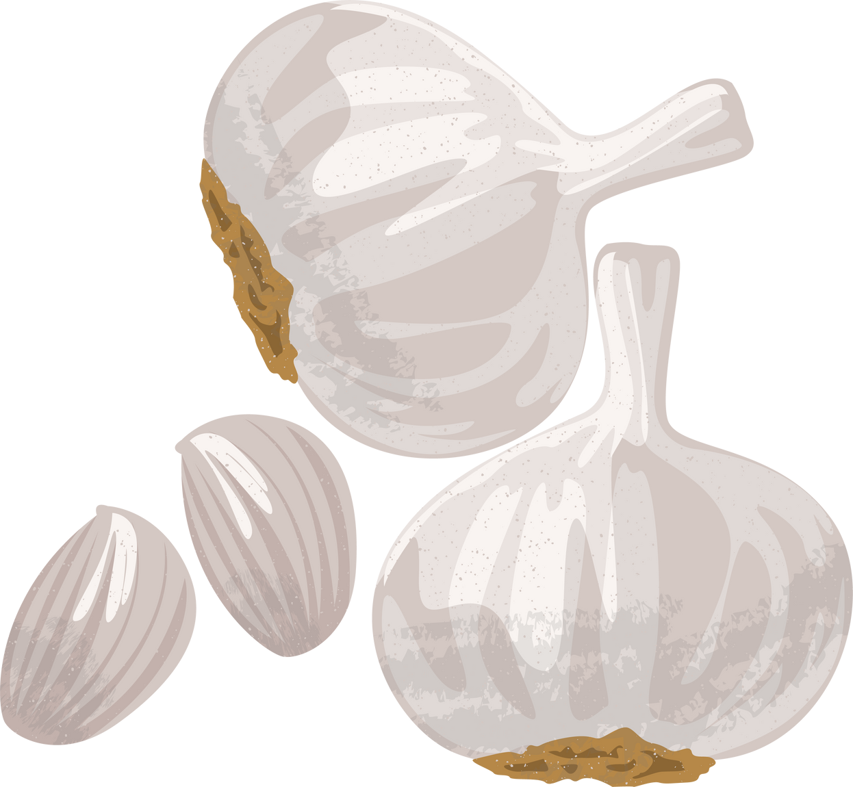 Editorial Textured Garlic